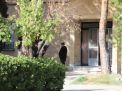 گزارش تصویری اولین روز آزمون کارشناسی